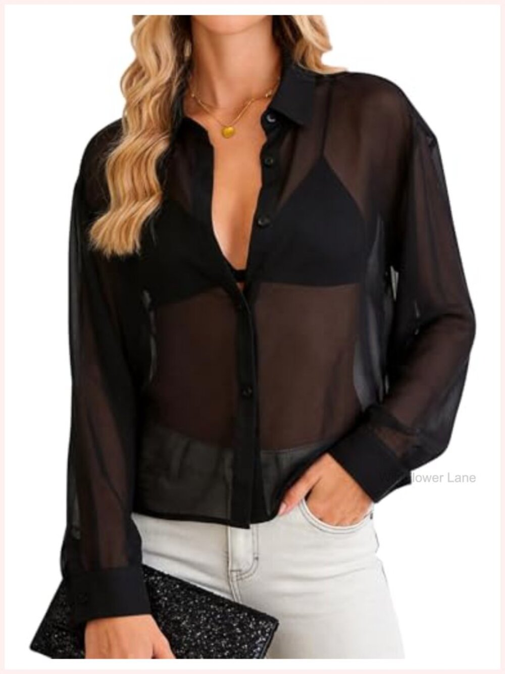 Sheer Mesh Long Sleeve Button Up Blouse Women's Sexy See Through Crop Top